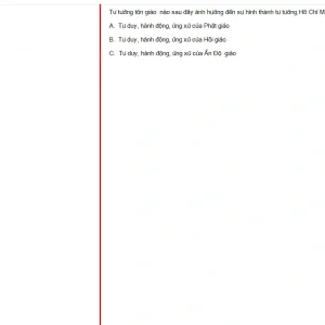 HCM202 FA24 FE RE_035.webp