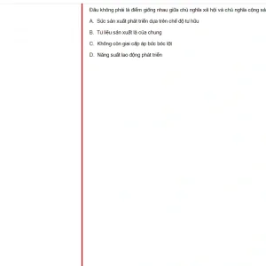 HCM202 FA24 FE RE_051.webp