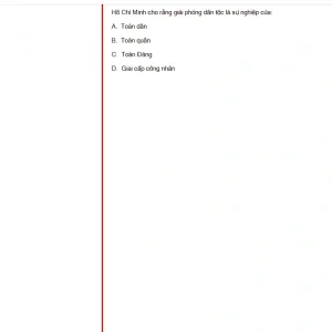 HCM202 FA24 FE RE_056.webp