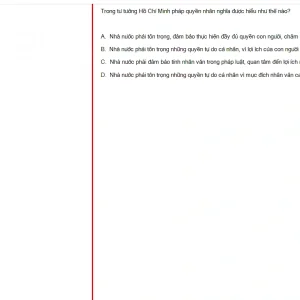 HCM202 FA24 FE_030.webp