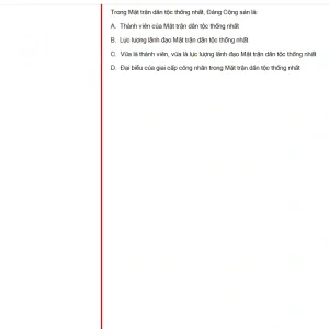 HCM202 FA24 FE_045.webp