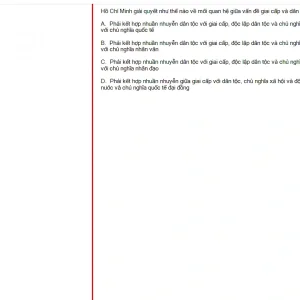 HCM202 FA24 FE_055.webp