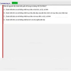 HCM202 SP24 FE_011.webp
