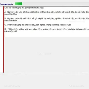 HCM202 SP24 FE_015.webp