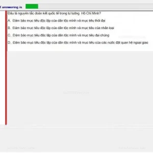 HCM202 SP24 FE_017.webp