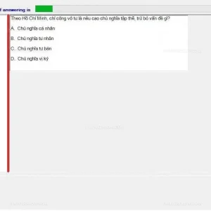 HCM202 SP24 FE_020.webp