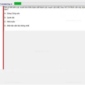 HCM202 SP24 FE_021.webp