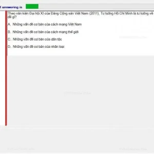 HCM202 SP24 FE_031.webp