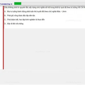 HCM202 SP24 FE_034.webp