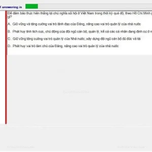 HCM202 SP24 FE_037.webp