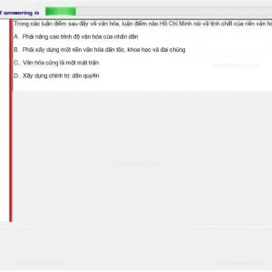 HCM202 SP24 FE_048.webp