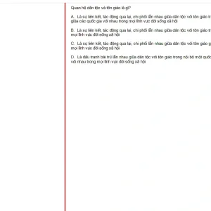 MLN131 FA25 FE RE_004.webp