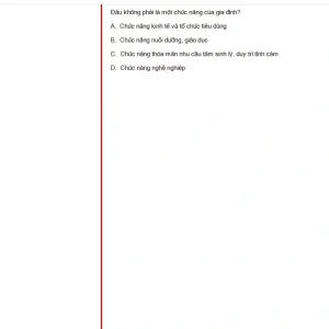 MLN131 FA25 FE RE_019.webp