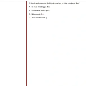 MLN131 FA25 FE RE_020.webp
