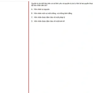 MLN131 FA25 FE RE_023.webp