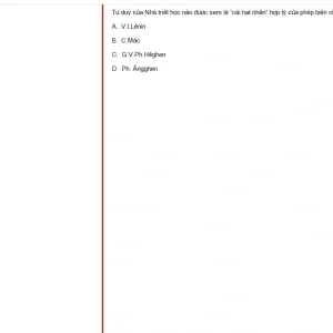 MLN131 FA25 FE RE_028.webp