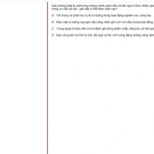 MLN131 FA25 FE RE_032.webp