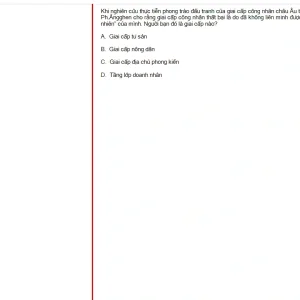 MLN131 FA25 FE RE_037.webp