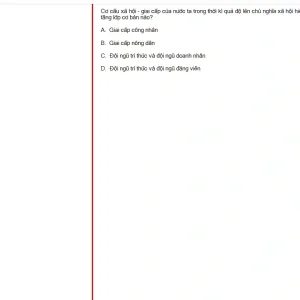 MLN131 FA25 FE RE_044.webp