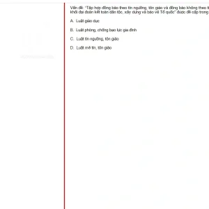 MLN131 SU25 B5 FE RE_002.webp