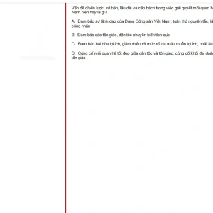 MLN131 SU25 B5 FE RE_003.webp
