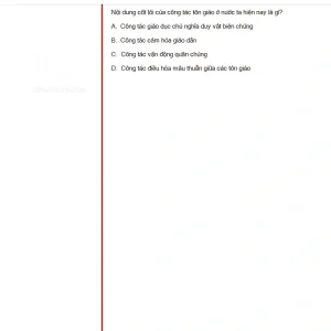 MLN131 SU25 B5 FE RE_004.webp