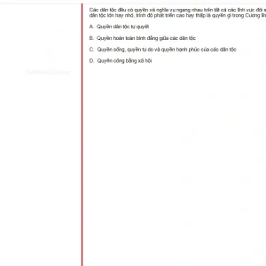 MLN131 SU25 B5 FE RE_007.webp