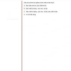 MLN131 SU25 B5 FE RE_010.webp