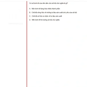 MLN131 SU25 B5 FE RE_011.webp