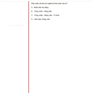 MLN131 SU25 B5 FE RE_012.webp