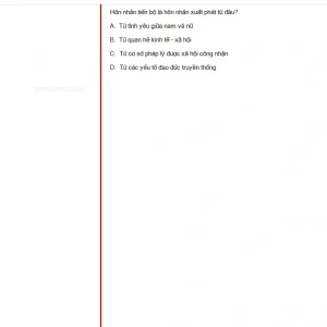 MLN131 SU25 B5 FE RE_017.webp