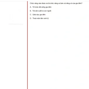 MLN131 SU25 B5 FE RE_020.webp