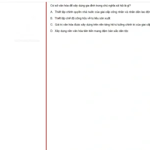 MLN131 SU25 B5 FE RE_023.webp