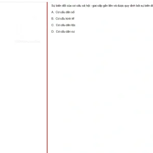 MLN131 SU25 B5 FE RE_036.webp
