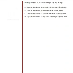 MLN131 SU25 B5 FE RE_038.webp
