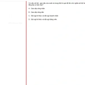 MLN131 SU25 B5 FE RE_043.webp