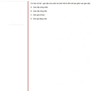 MLN131 SU25 B5 FE RE_044.webp