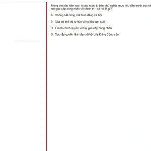 MLN131 SU25 B5 FE RE_046.webp