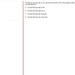 MLN131 SU25 B5 FE RE_047.webp