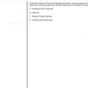 MLN131 SU25 B5 FE RE_050.webp