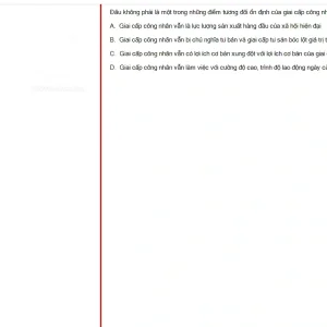 MLN131 SU25 B5 FE RE_051.webp