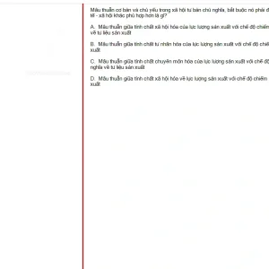 MLN131 SU25 B5 FE RE_055.webp