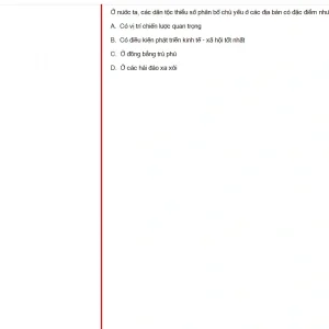 MLN131 SU25 B5 FE_009.webp