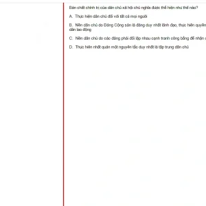 MLN131 SU25 B5 FE_010.webp