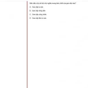 MLN131 SU25 B5 FE_012.webp