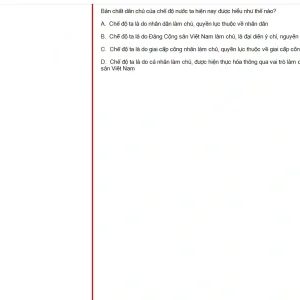 MLN131 SU25 B5 FE_014.webp