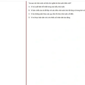 MLN131 SU25 B5 FE_017.webp