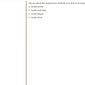 MLN131 SU25 B5 FE_019.webp