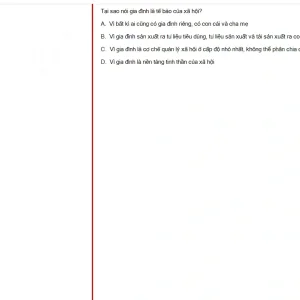 MLN131 SU25 B5 FE_022.webp