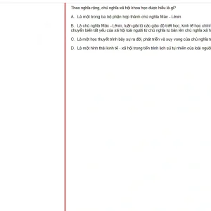 MLN131 SU25 B5 FE_031.webp